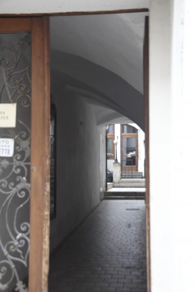 Questa immagine ha l'attributo alt vuoto; il nome del file è elisa-bregant_DSC6735-e1750684751396.jpg